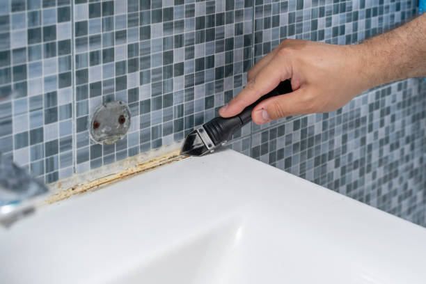 Best Affordable Mold Removal  in Belvidere, NJ