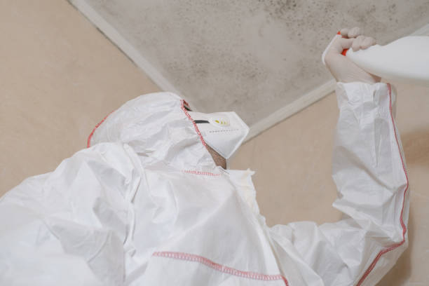 Best Mold Testing  in Belvidere, NJ